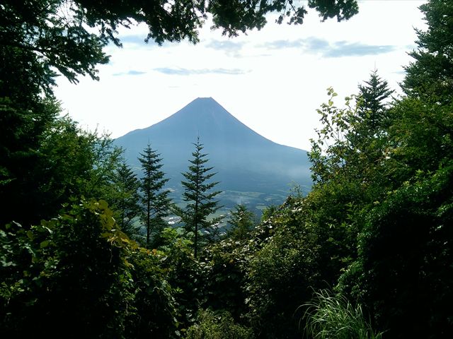 IMAG3855_R