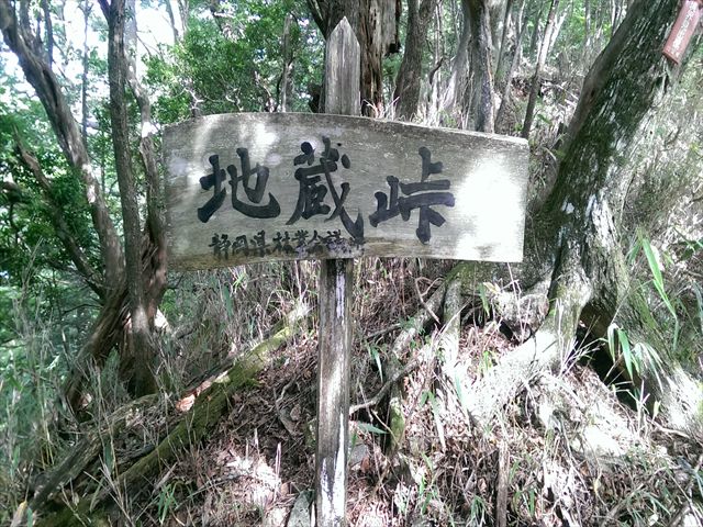 IMAG3859_R