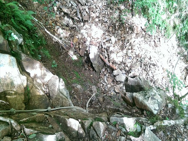 IMAG3865_R