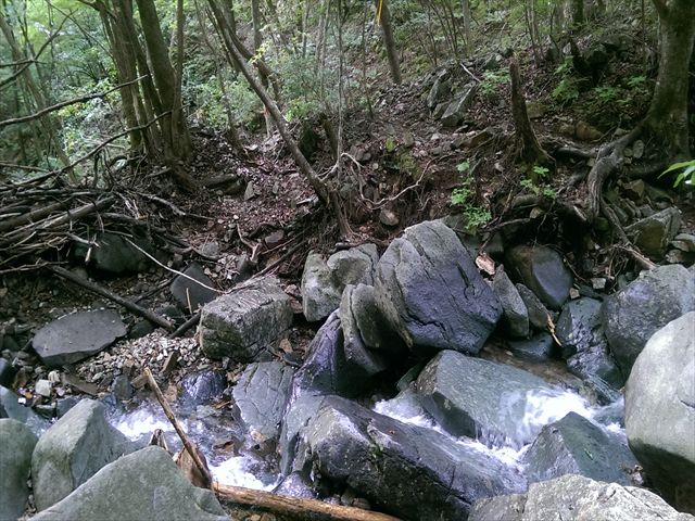 IMAG3879_R