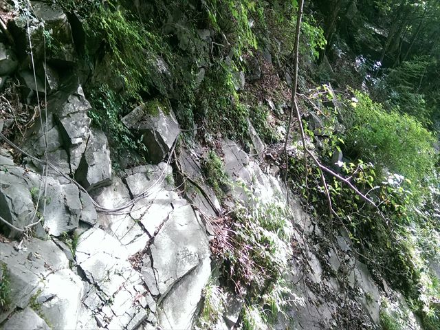 IMAG3886_R