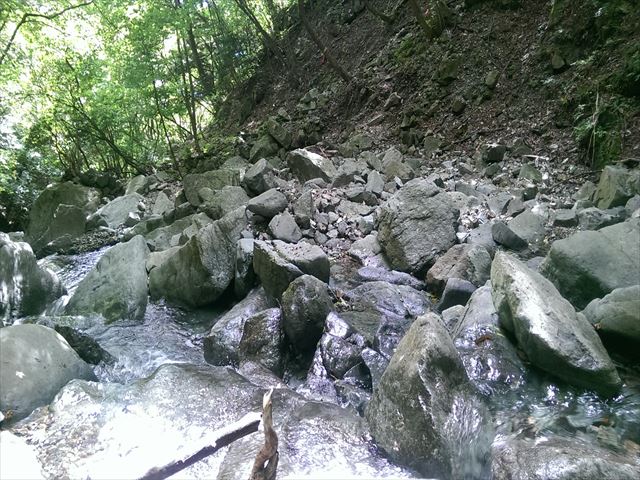 IMAG3898_R