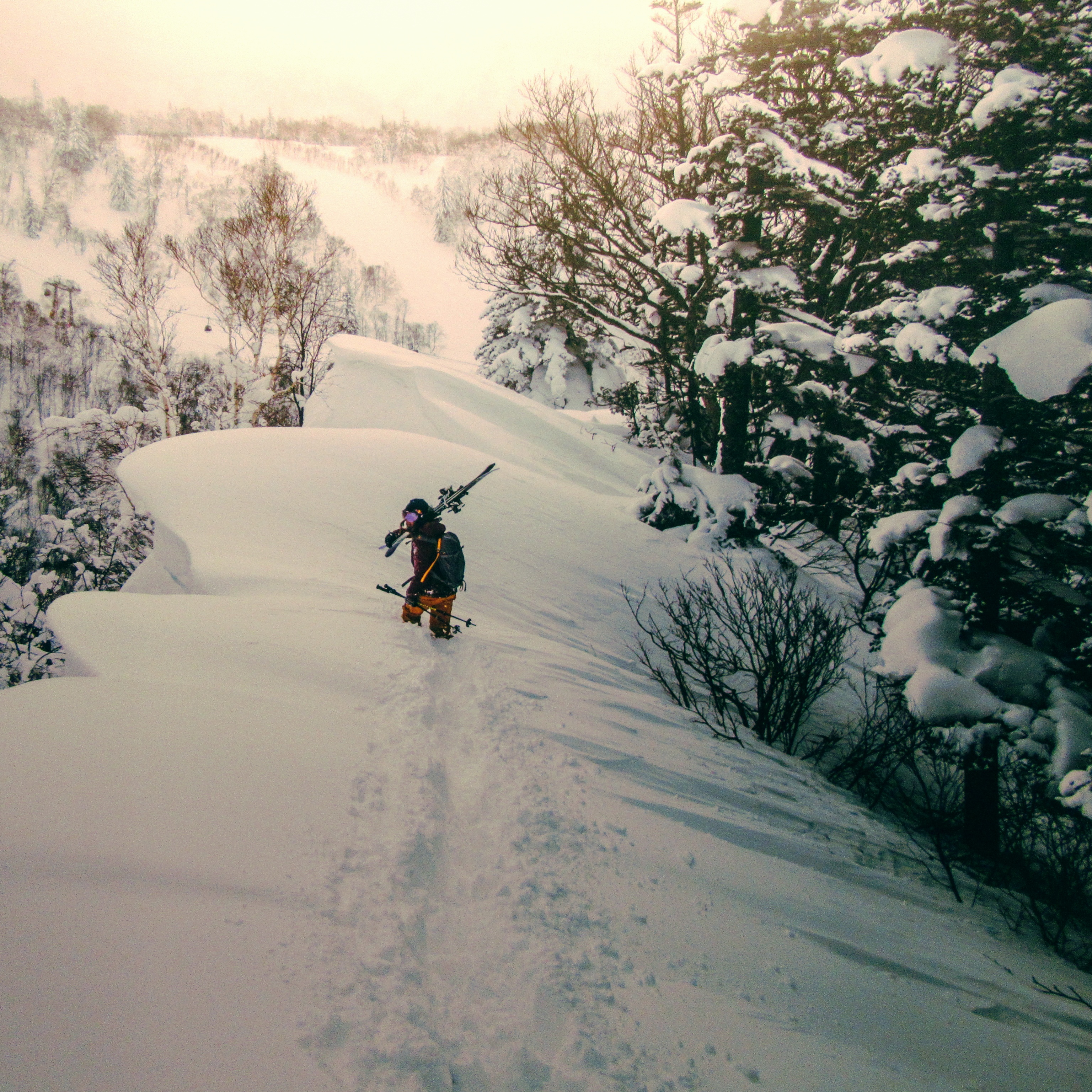 IMG_20161230_231211_752 (3)