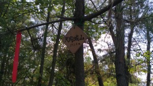 1504586977195_2017090514200211