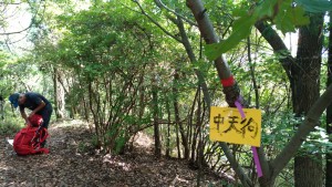 1504586984135_20170905135436