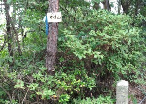 1504586997368_20170905135415