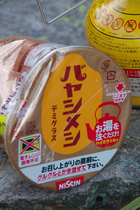 バヤシメシ