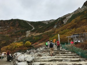 millet_20171012_4