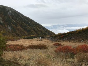 millet_20171012_5
