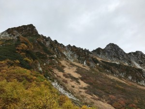 millet_20171012_7