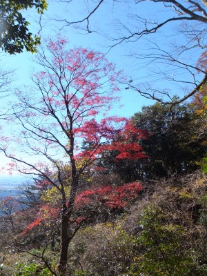 DSCF0623
