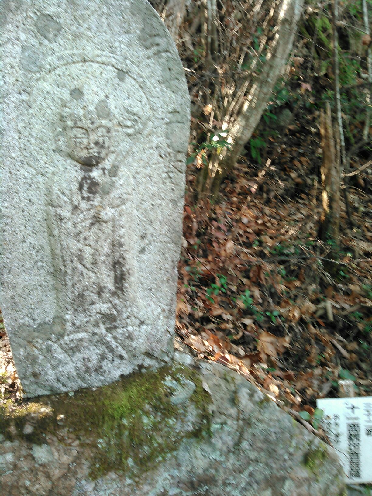 1512451114222