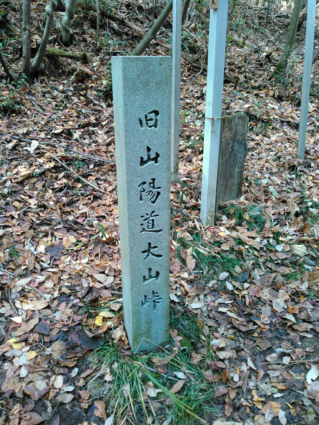 1512451913054