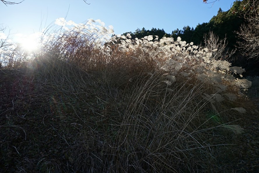 DSC00085