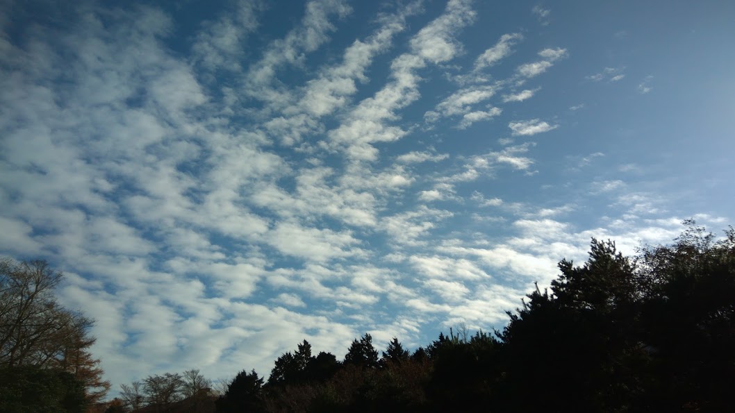 P_20171126_141323