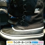 ｳｨﾝﾀｰｶｰﾆﾊﾞﾙ