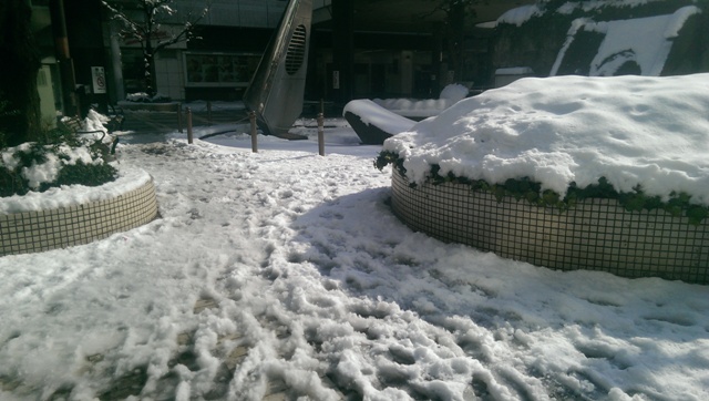 雪 (1)