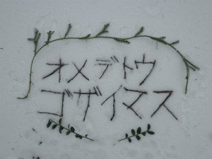 IMGP0140