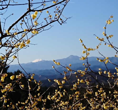 _20180215_105343