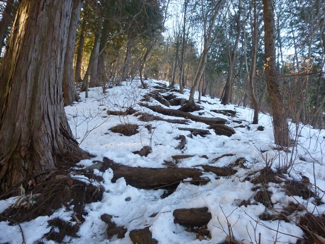 P1020274_R