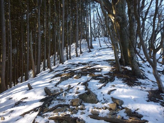 P1020294_R
