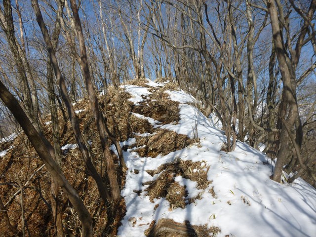 P1020315_R