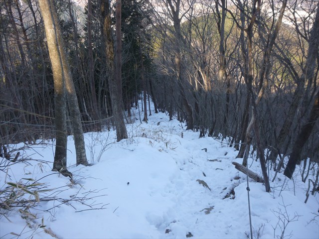 P1020318_R