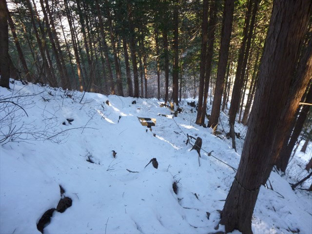 P1020331_R