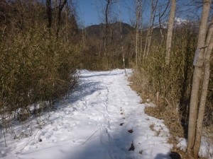 P1020336_R
