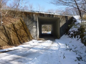 P1020339_R