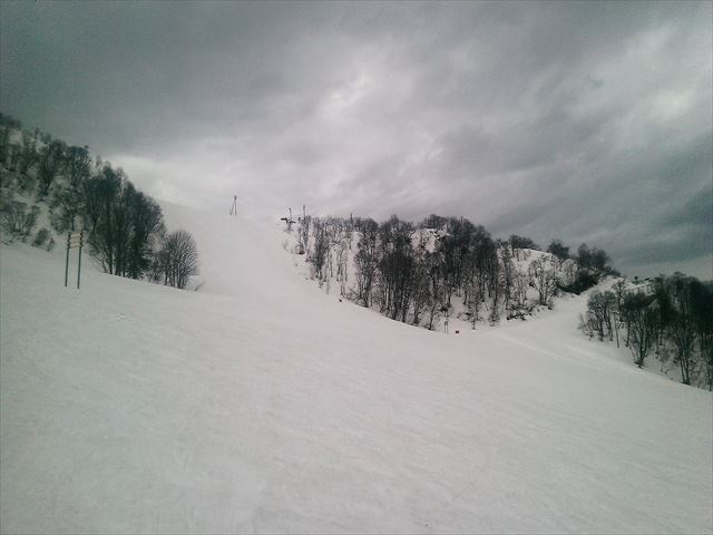 IMAG5202_R