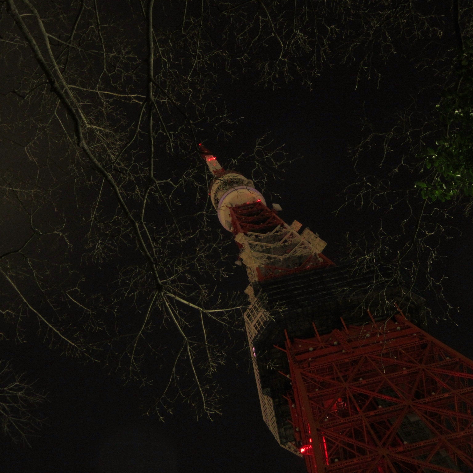 IMG_20180325_084024_A