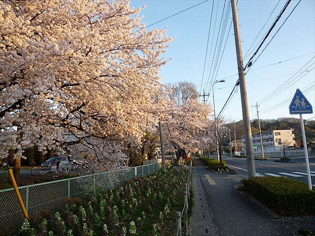 P1020675_R