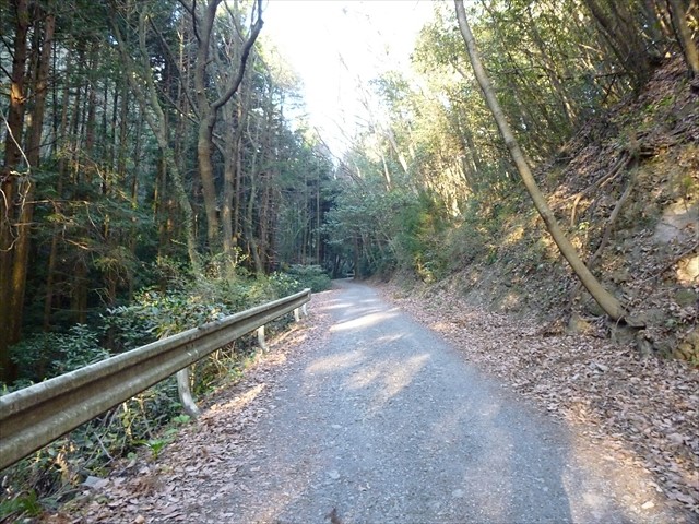 P1020685_R