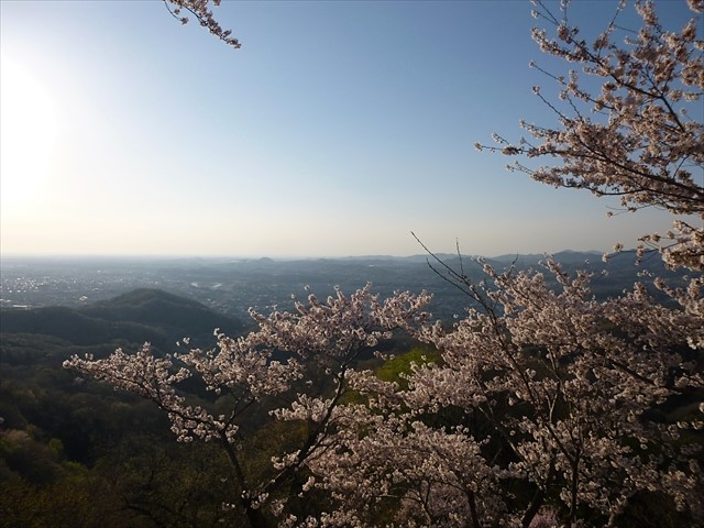 P1020700_R