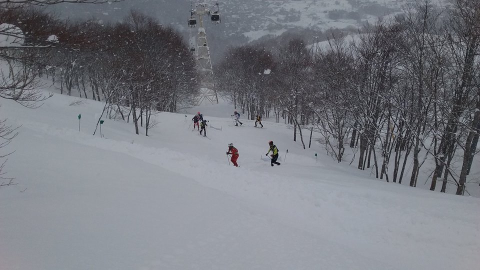 30412030_733919826802252_8243240662982609322_n