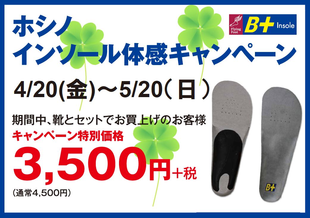 ﾎｼﾉｷｬﾝﾍﾟｰﾝ