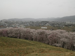 IMGP0325