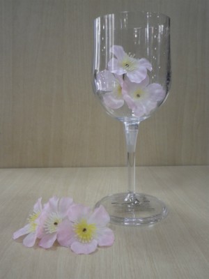 IMGP0359
