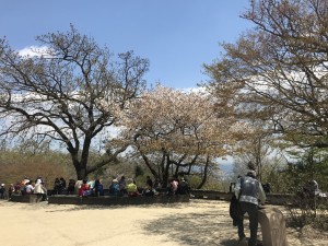 IMG_3917