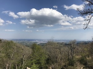 IMG_3919