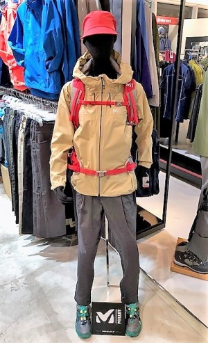 トルソーレディース