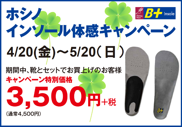 ホシノキャンペーン