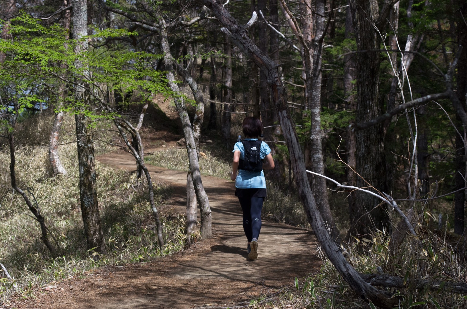 20180516 daibosatsu4