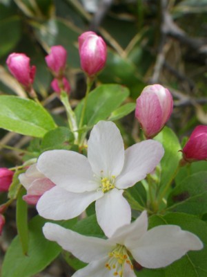 IMGP0023