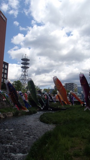 P5040034