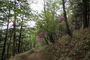 【甲府店】登山学校実技講習「登山入門」や…