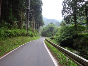 RDSC00017