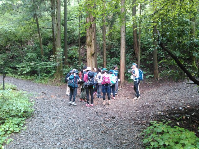 1529913880256