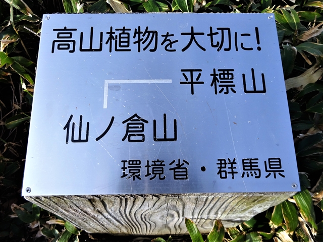 RDSC00334ﾗｽﾄ